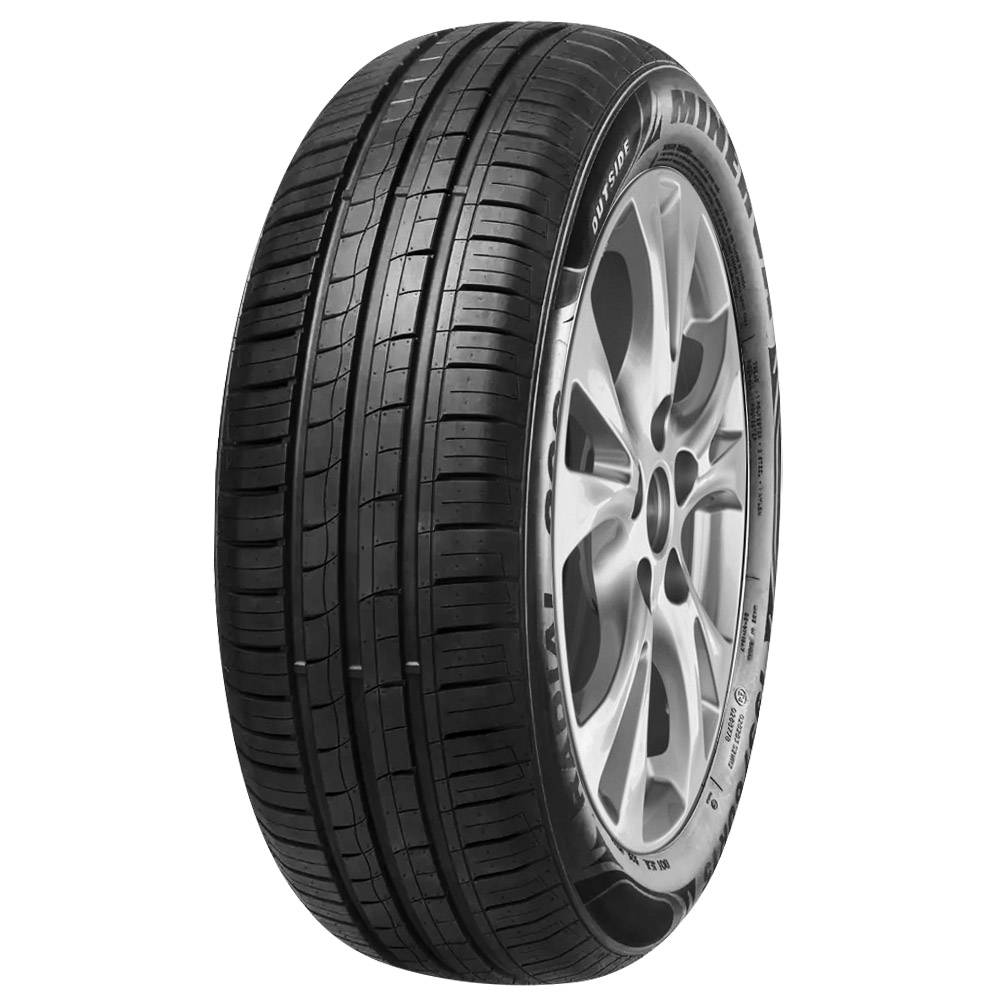 Pneu Minerva Aro 16 F209 195/55R16 87V